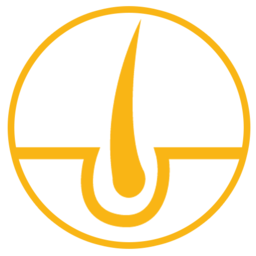 learnskin.com-logo